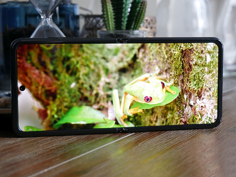 Khả năng hiển thị của Galaxy Z Flip 3