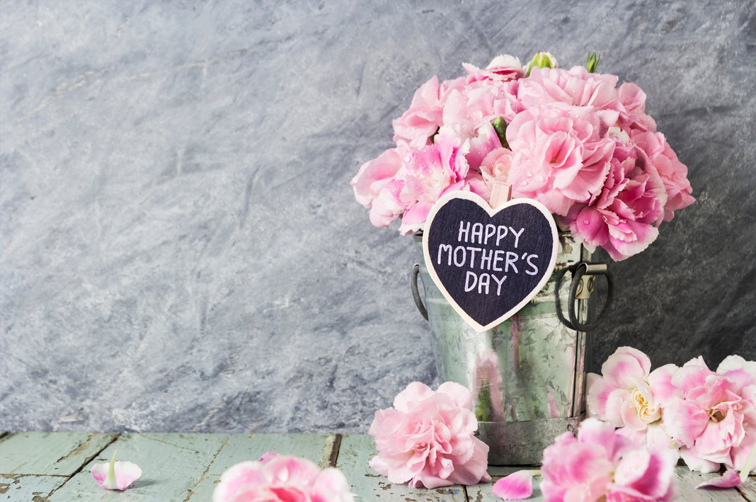 Hoa cẩm chướng tặng mẹ