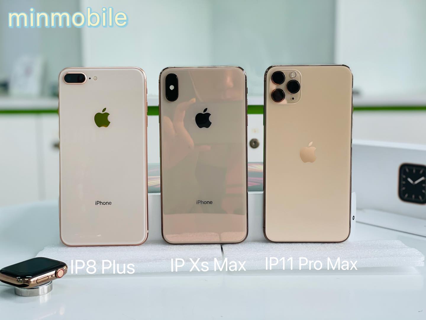Bạn sẽ chọn chiếc điện thoại iPhone nào trong năm nay?