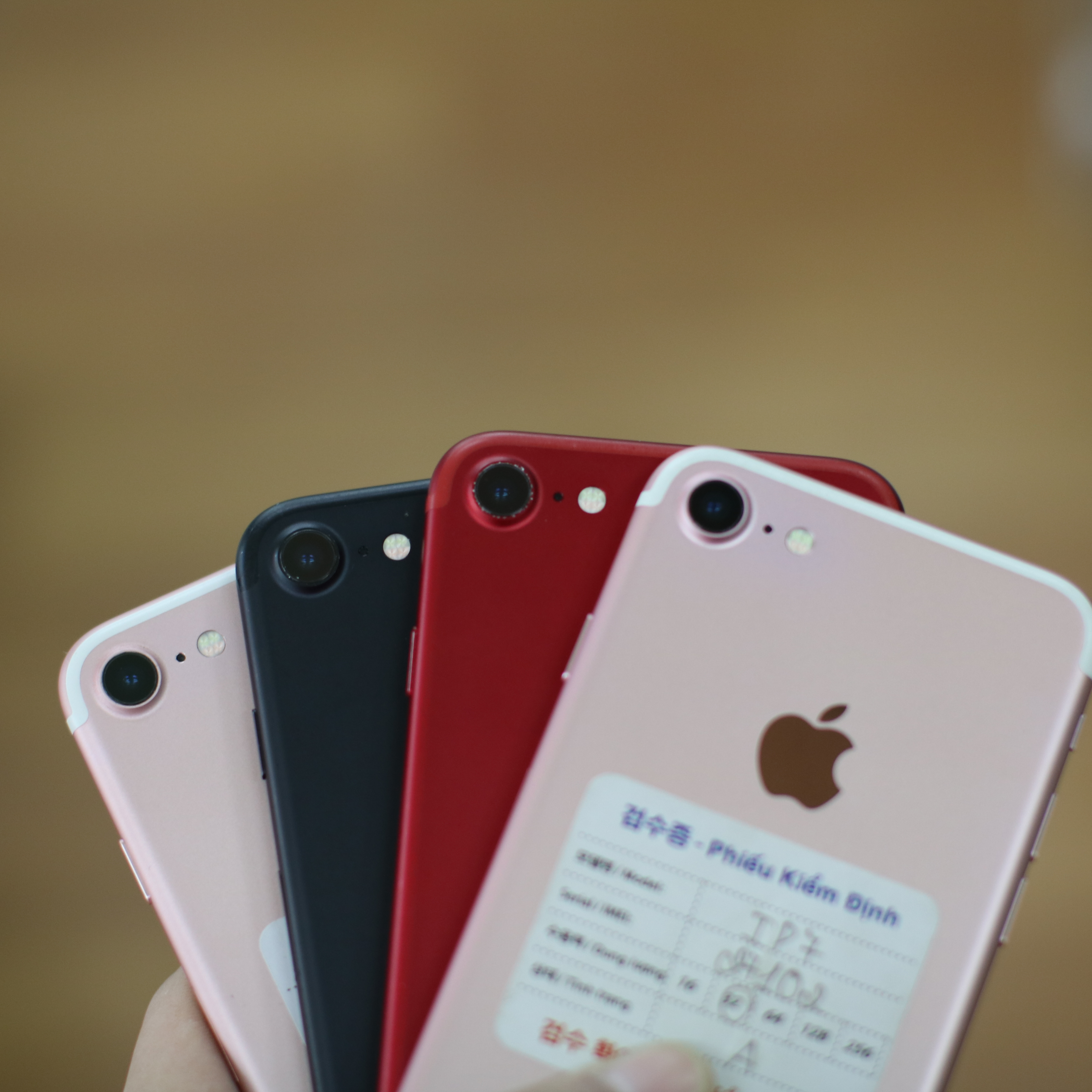iPhone 6, iPhone 6S, iPhone 7 tại Hải Phòng hàng hiếm nhưng vẫn tha hồ lựa chọn
