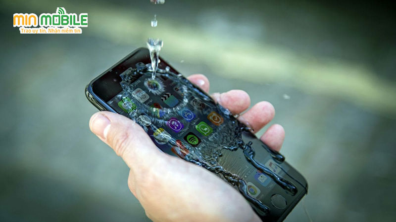 Tác hại của việc điện thoại rơi xuống nước